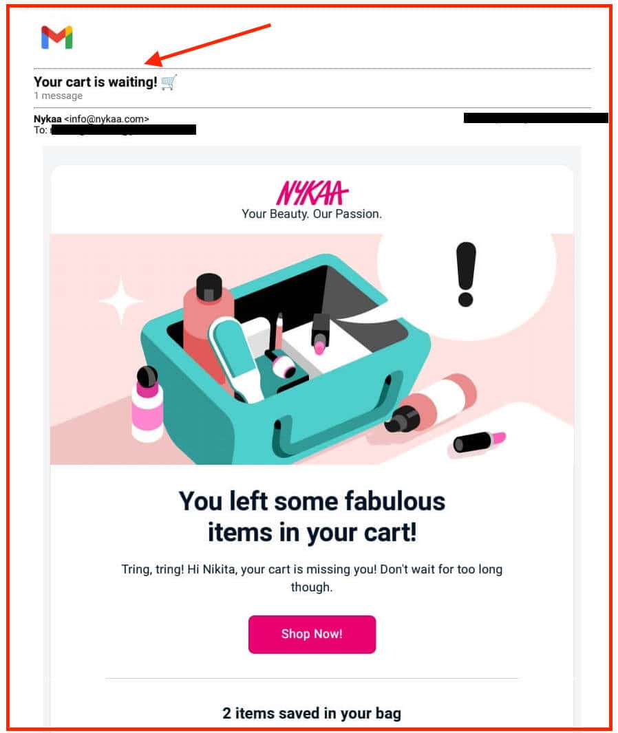 Mastering the eCommerce Abandoned Cart Email