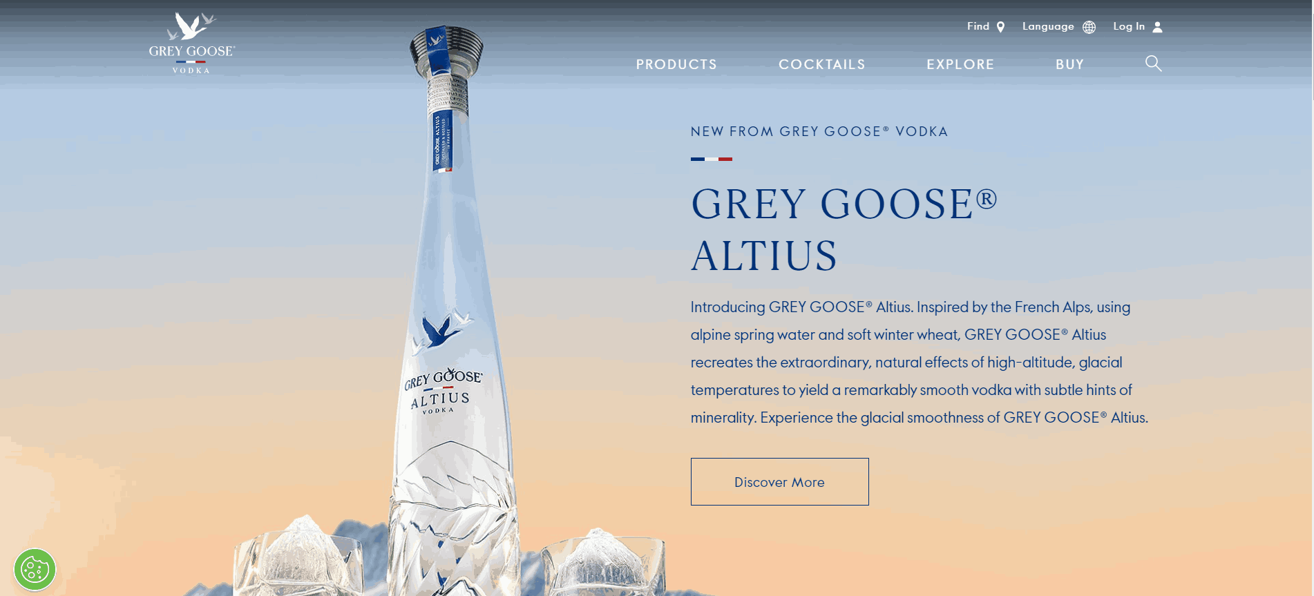 Grey goose homepage