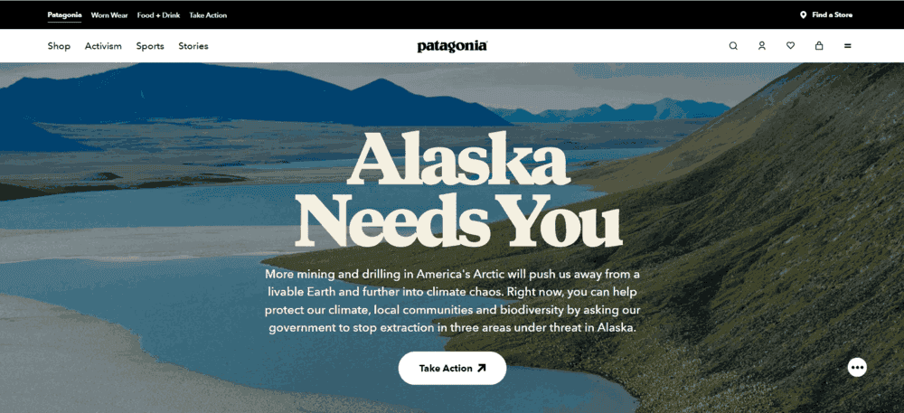 Patagonia homepage