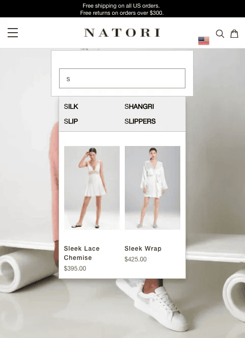 eCommerce site search example